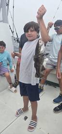 Tautog,  sea bass , and cod