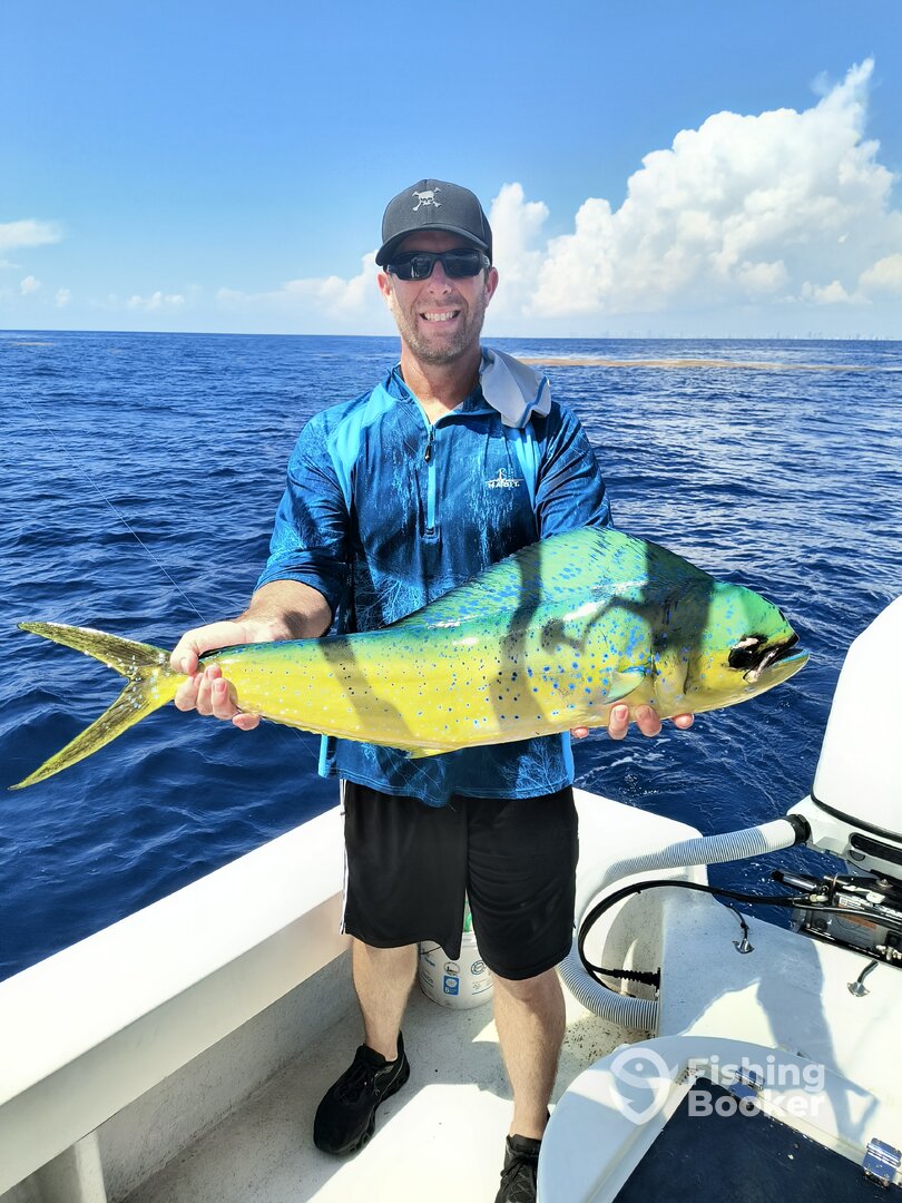 Lauderdale Marina Report Photo 0