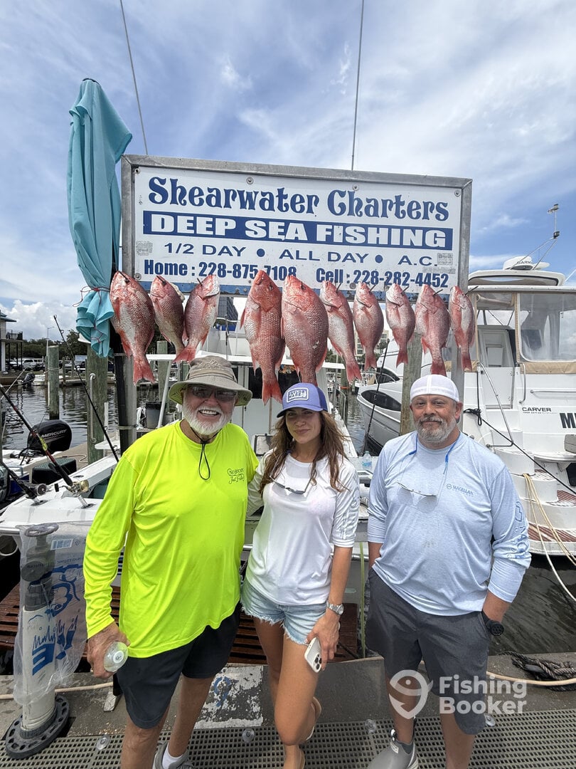 Biloxi Report Photo 0