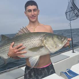 Great bass and shark bite 