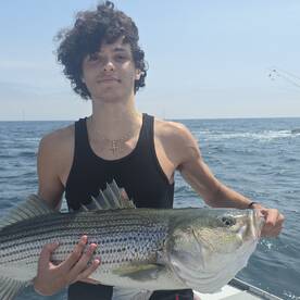 Narragansett Report Photo 2