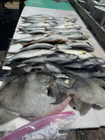 Wildwood Report Photo 2