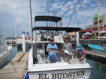 EL BUDSTER FISHING REPORT