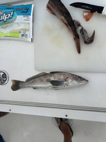 Somers Point Report Photo 2