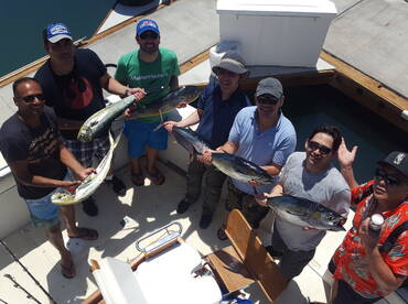 Cabo San Lucas Report Photo 1