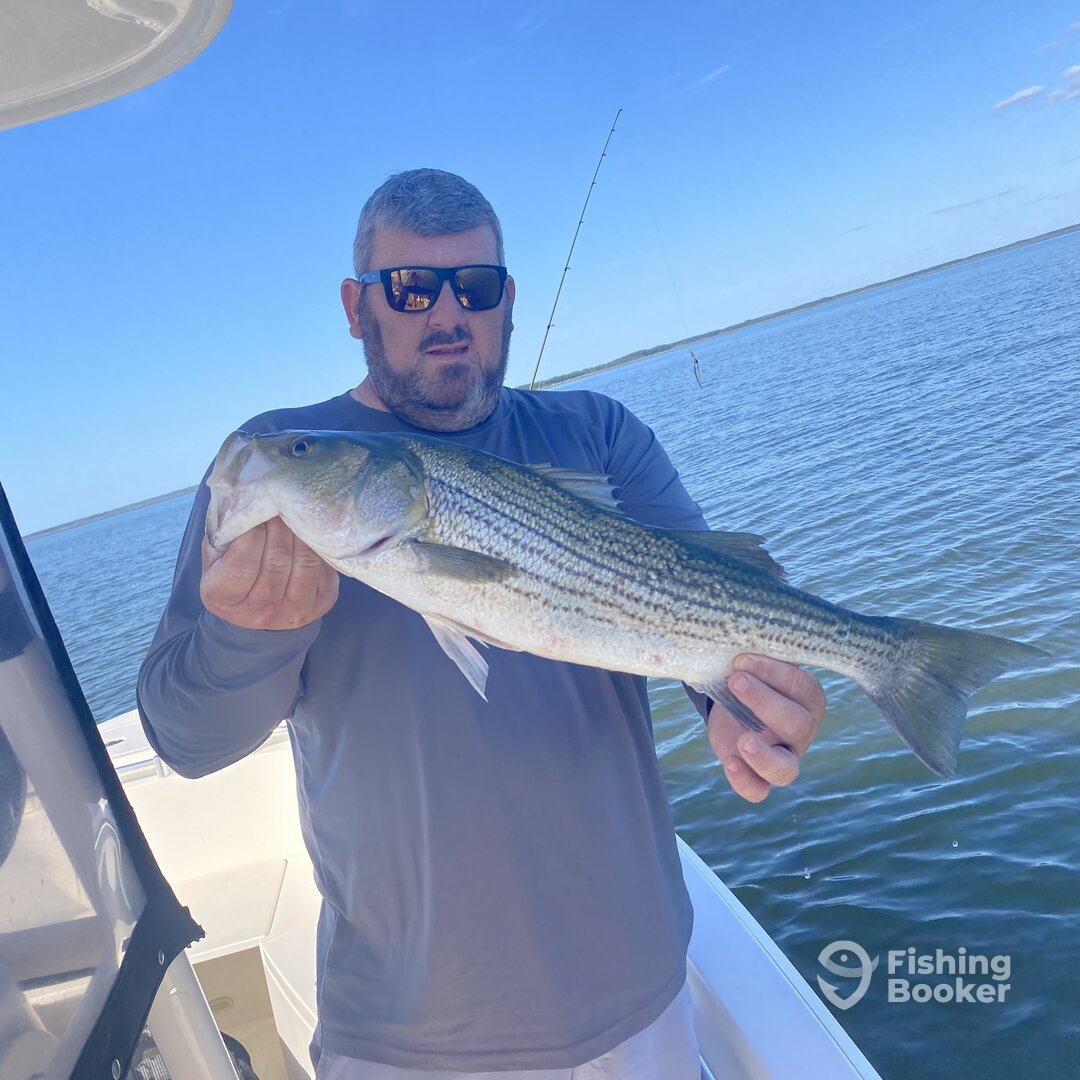 Nanticoke Report Photo 0