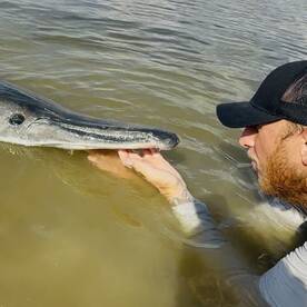 200 pound giant landed 