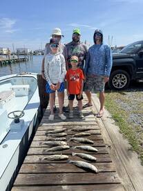 Trout fishing