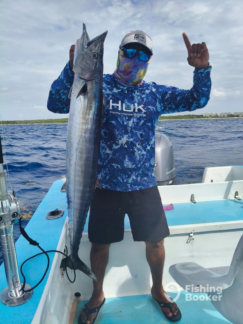 Playa Del Carmen Report Photo 0