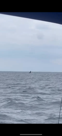 Los Sueños Report Photo 1