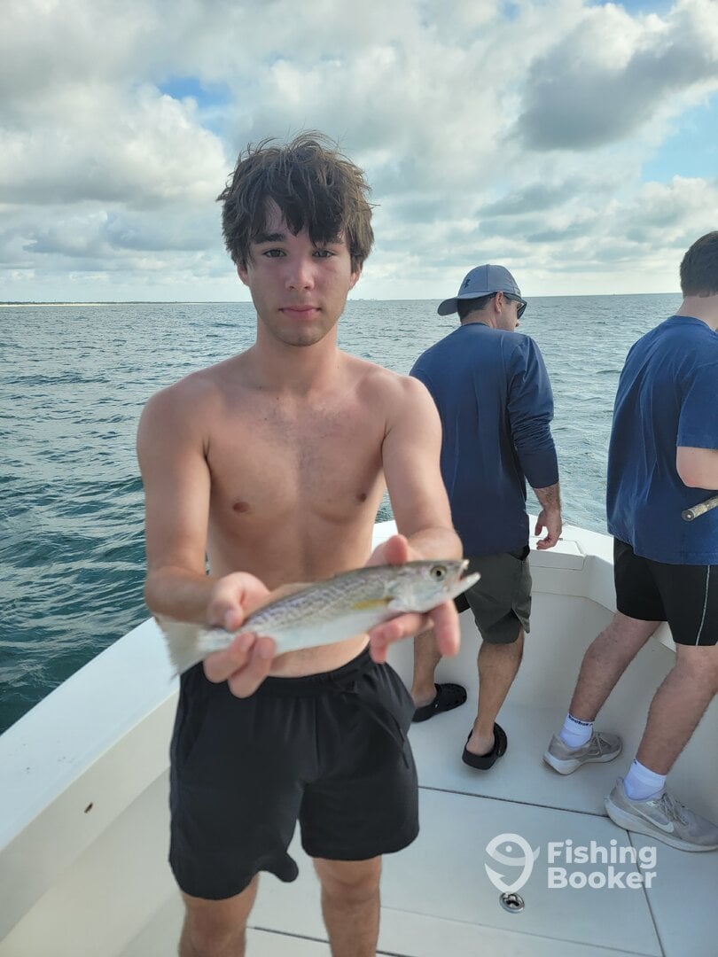 Wilmington Report Photo 0
