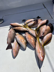 Miami-Dade County Report Photo 1