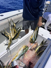 Miami-Dade County Report Photo 4