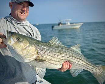 Scituate Report Photo 3