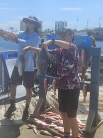 Panama City Beach Report Photo 1