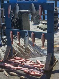 Panama City Beach Report Photo 2