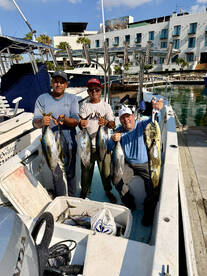 San Jose del Cabo Report Photo 2