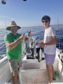 San Jose del Cabo Report Photo 2
