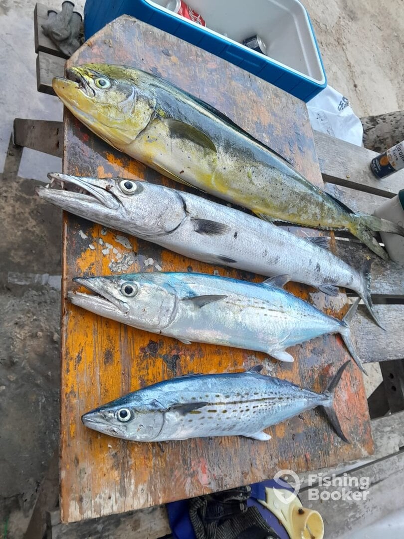 Quintana Roo Report Photo 0