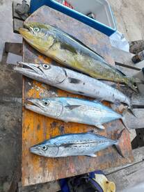 Tulum Report Photo 1