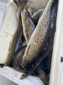 Pamlico Sound Report Photo 2