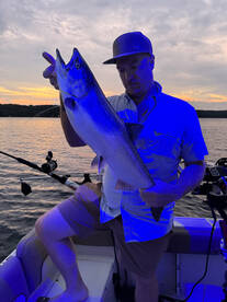 From California to Michigan