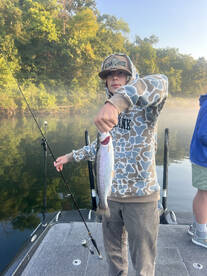 Branson Report Photo 1