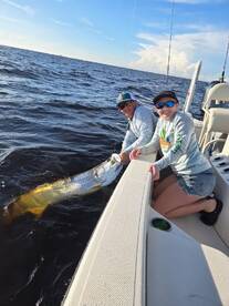 Steady tarpon bite!
