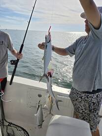 Murrells Inlet Report Photo 2