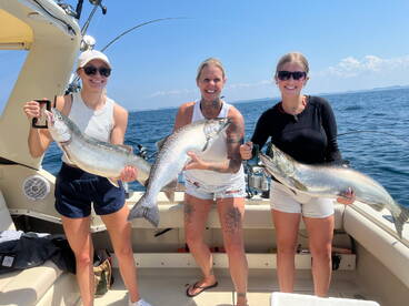 Saugatuck Report Photo 2