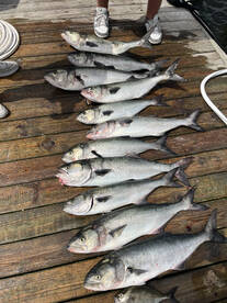 Wanchese Report Photo 1