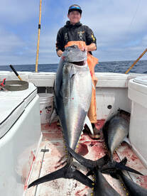 Oceanside Report Photo 2