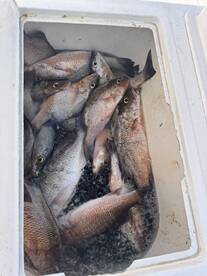 Florida Keys Report Photo 2