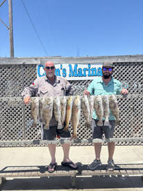 Clem's Marina Report Photo 4