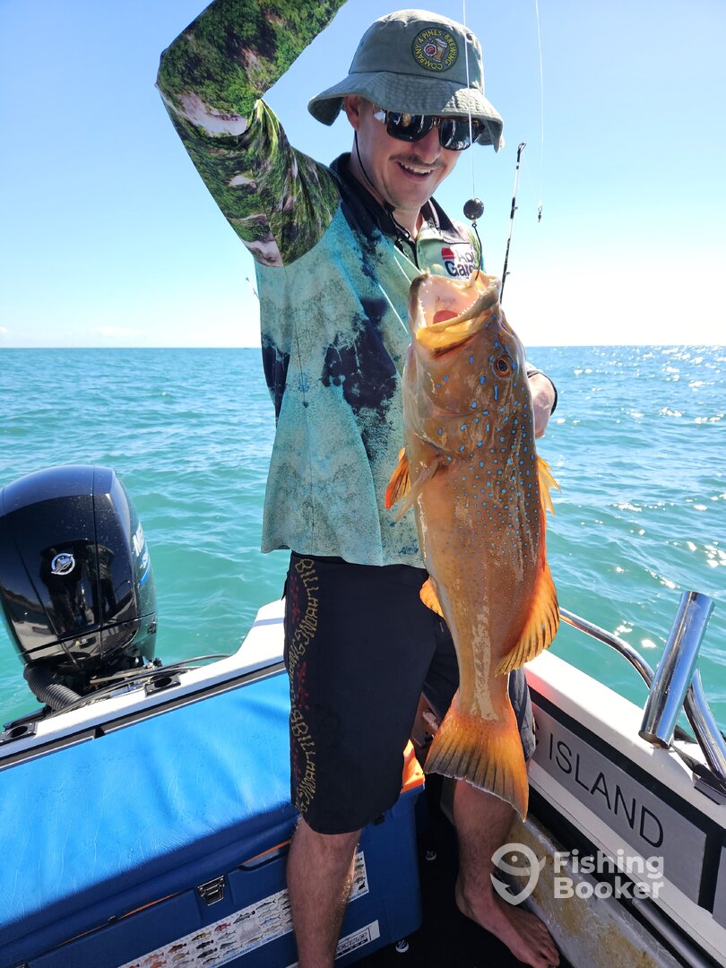 North Queensland Report Photo 0