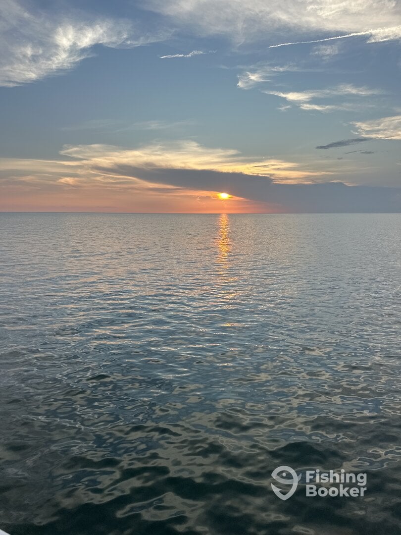 Jacksonville Report Photo 0
