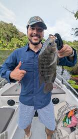 Gamboa Report Photo 2