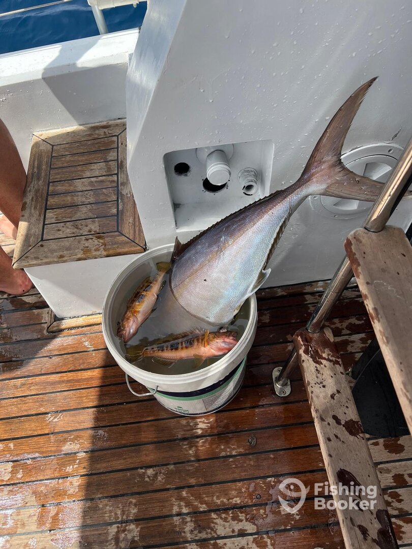 Madeira Report Photo 0