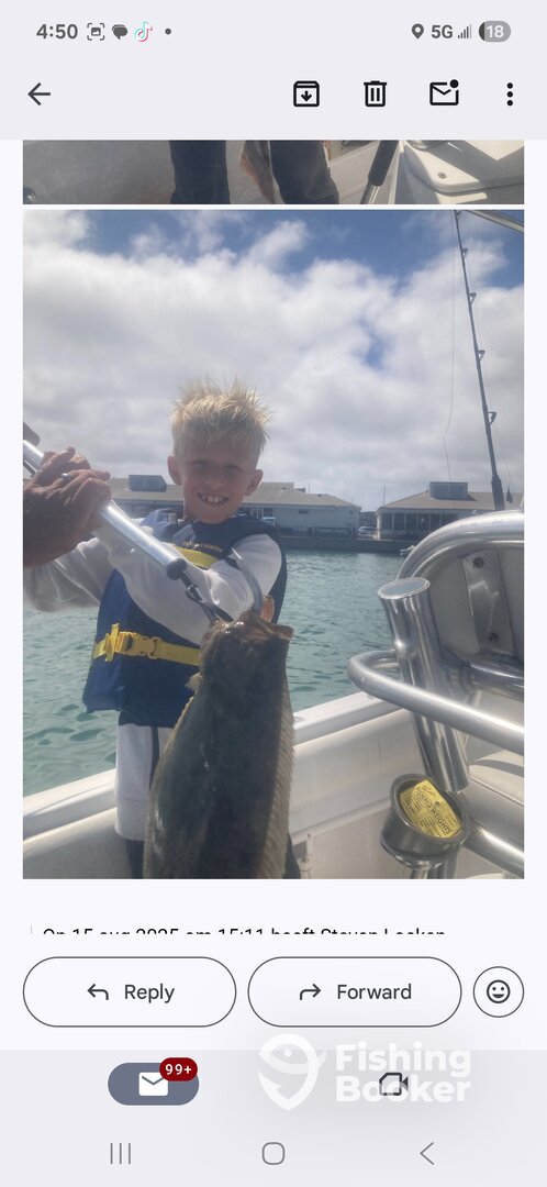 Dana Point Report Photo 0
