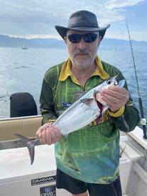 Puerto Vallarta Report Photo 2