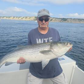 Narragansett Report Photo 1