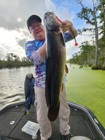 Kitty Hawk Report Photo 2