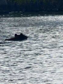 Kitty Hawk Report Photo 1