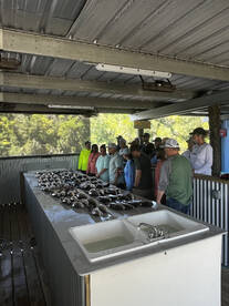 Louisiana Report Photo 1