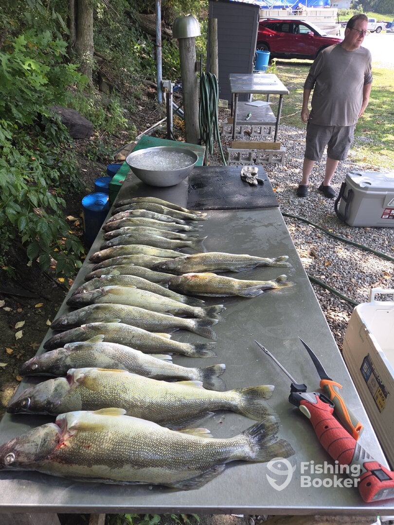 Vermilion Report Photo 0