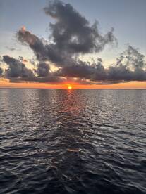 Port St. Joe Report Photo 2
