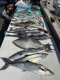 Delaware Bay Report Photo 2