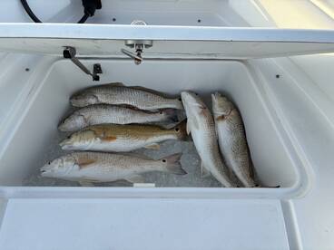 Trinity Bay Report Photo 2