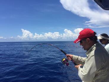 Puerto Aventuras Report Photo 1