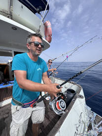 Faro Report Photo 3